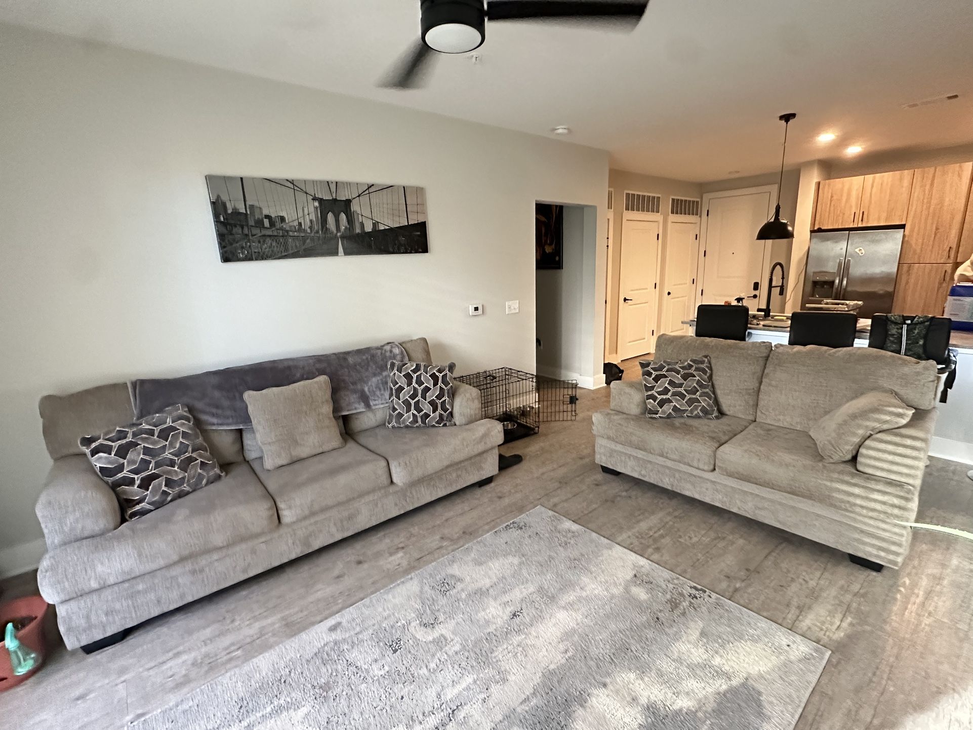 Two Couches / Living Room Set