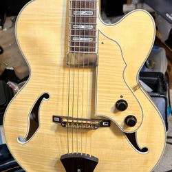 Ibanez Hollow body Electric Guitar