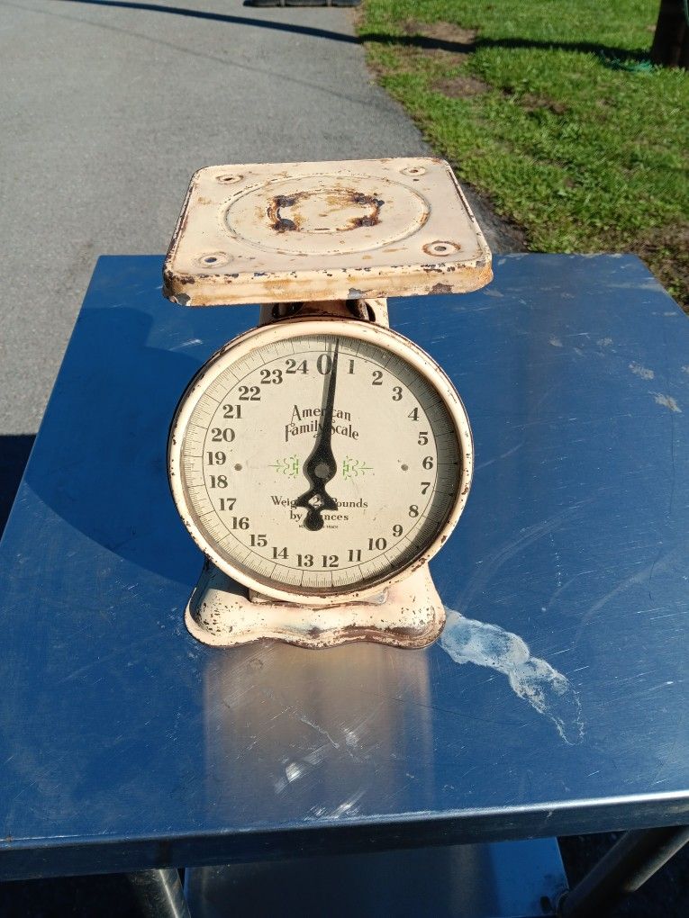 Vintage American Family Scale Co