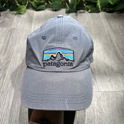 Patagonia Fitz Roy Scope Lopro Dad  Cap Hat Bear Witness Faded Gray