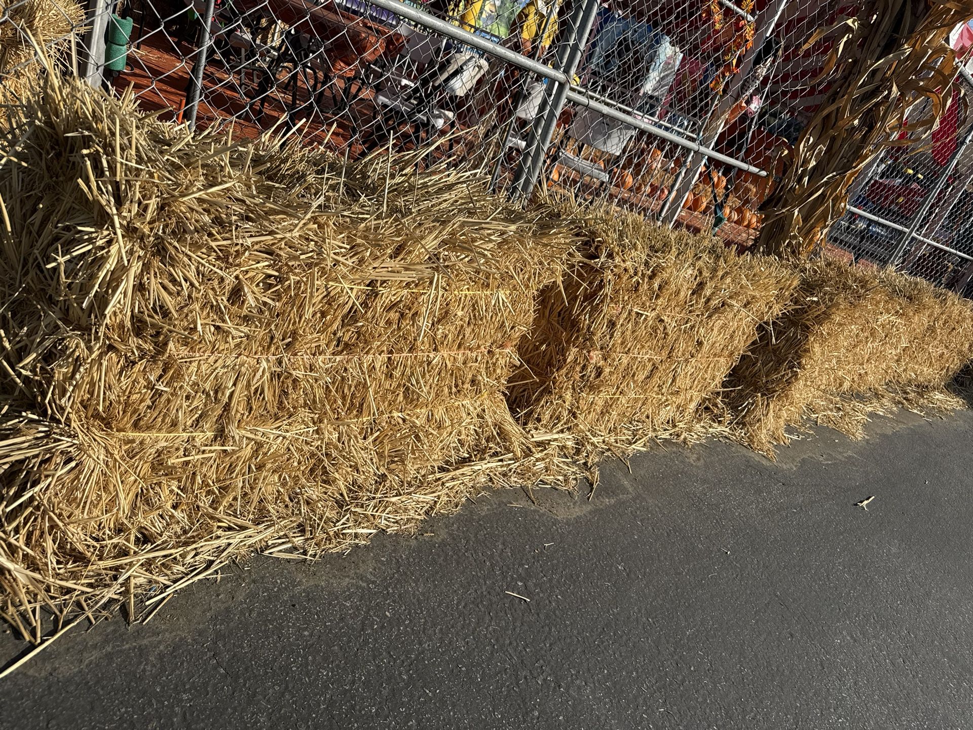 Hay Bales 