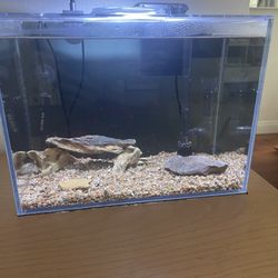 2.6 Gallon Starter fish Tank Aquarium With Accessories 