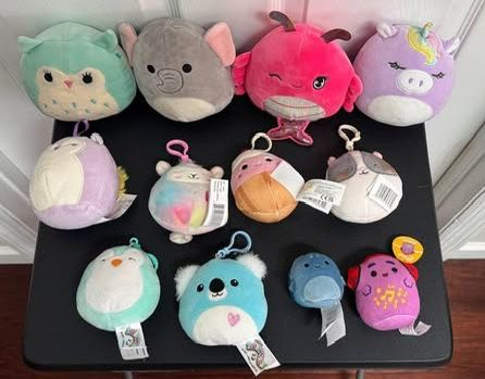 Squishmallows Plush Lot some with clips $20 for All 