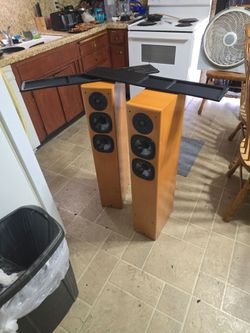 Veinna acustic standing load speakers 2,500 $msrp . obo 500$
