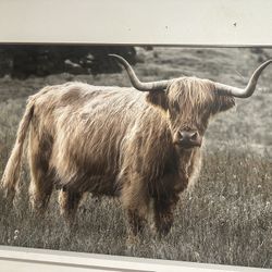 Large Cow Wall Art