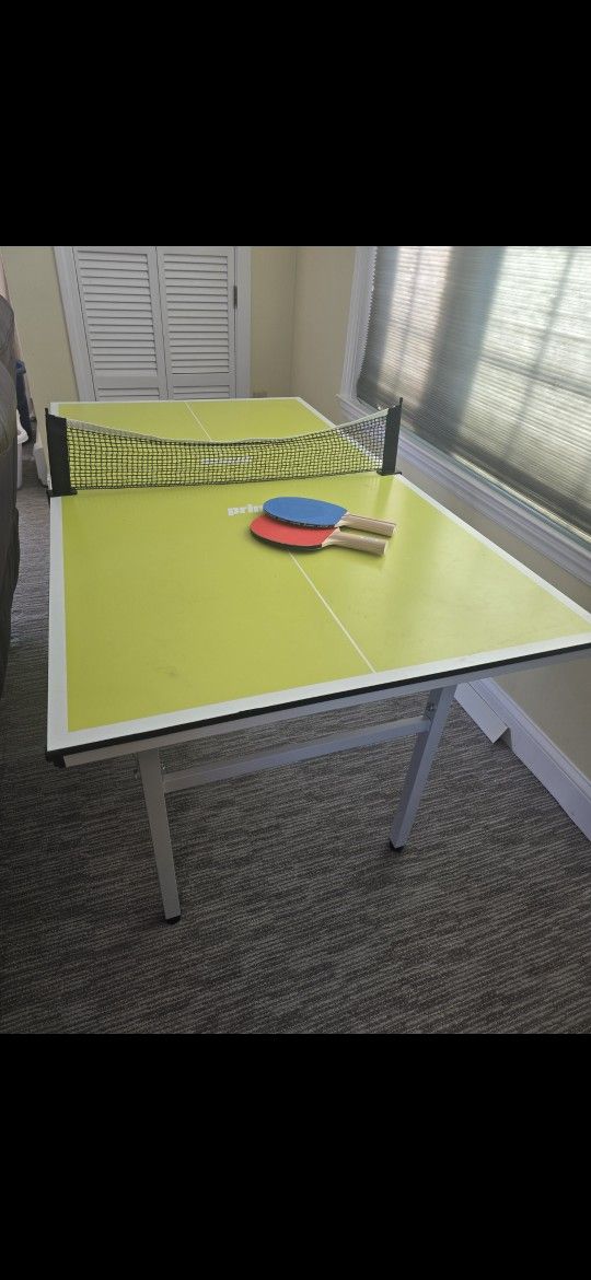 Kids Ping Pong Table