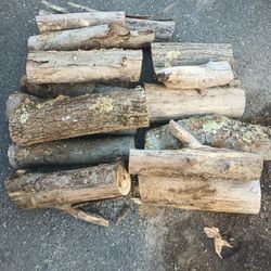 🔥🔥 Firewood for bonfires, camping & fireplace