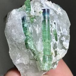 340 Beautiful Indicolite Tourmaline Crystal Specimen from Afghanistan 