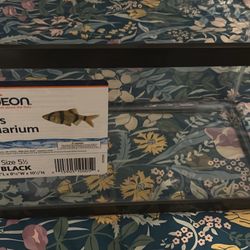 Brand New Glass Aquarium 