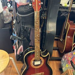 Electric Acoustic Guitar 