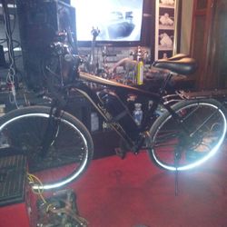 Jason Electric Bike 42v