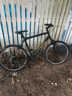Trayl Trax 1.0 Mountain bike