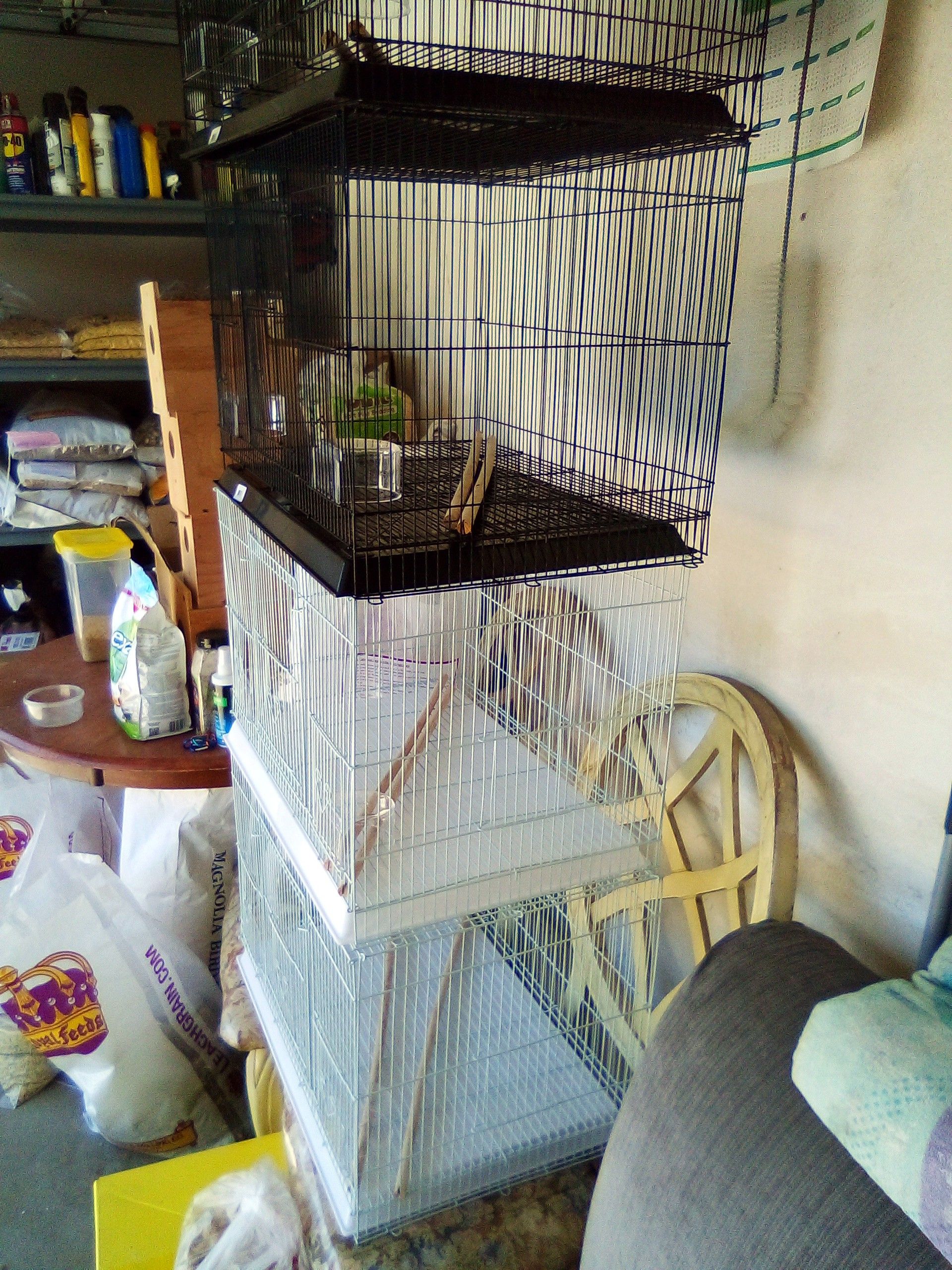 New Bird Cage