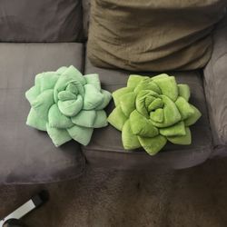 Succulent Pillows