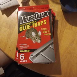 Glue Traps
