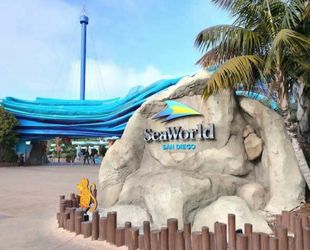 SeaWorld/Sesame Tickets