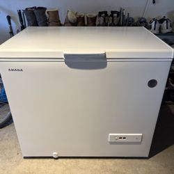 9 cu. ft. Chest Freezer in White