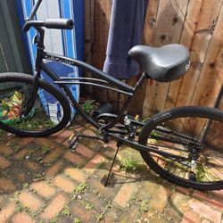 Soft Cruise Beach Cruiser