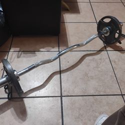 Olympic Curling Bar And 10 Lb Weights $60
