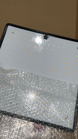 Plant grow light