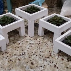 Decor Succulent Boxes