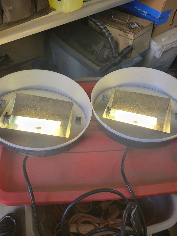 Magnetic shoplights.