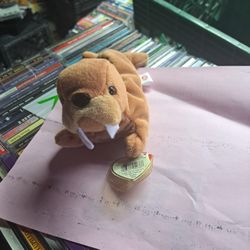 Beanie Babies Plush Toy Tusk