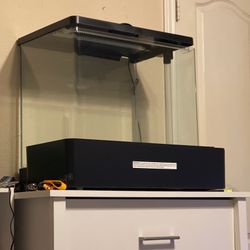 Fish Tank New 