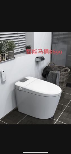 Smart Toilet 