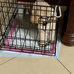 Puppy Kennel Crate