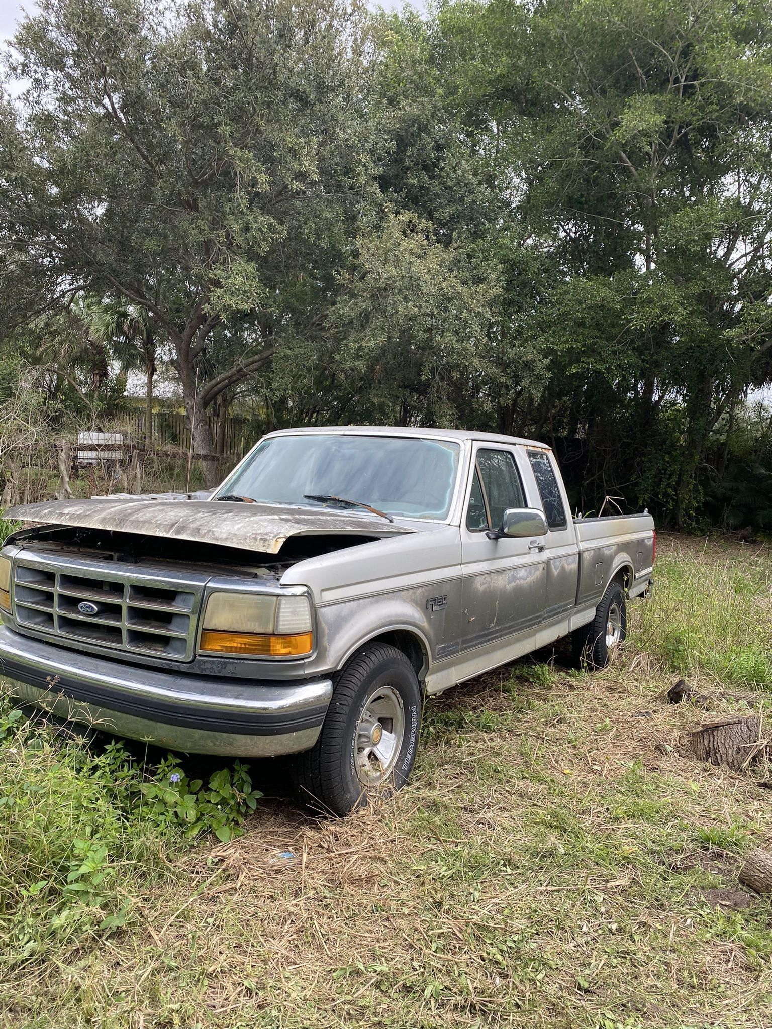 1992 Ford F-150