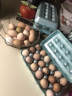 Organic eggs