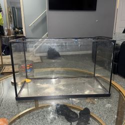 20 Gallon Fish Tank 