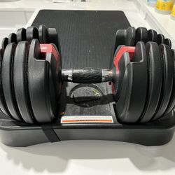 Bowflex Weight Set