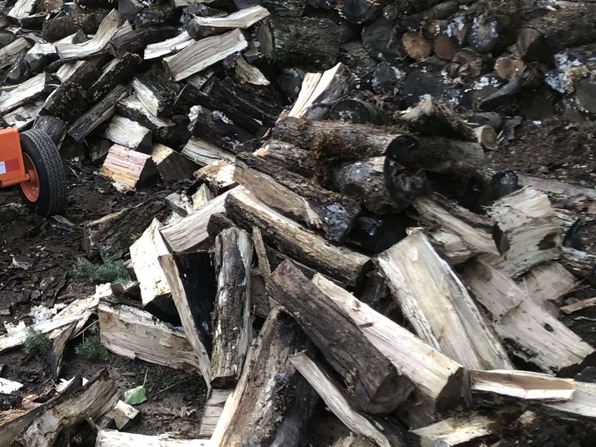 Half Cord Of Split And Seasoned Oak Firewood