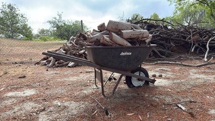 Firewood