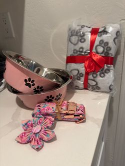 Essentials for dog