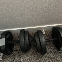 Adjustable Weights / Pair 15 Lbs 