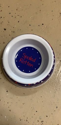 dog or cat bowl from petsmart new