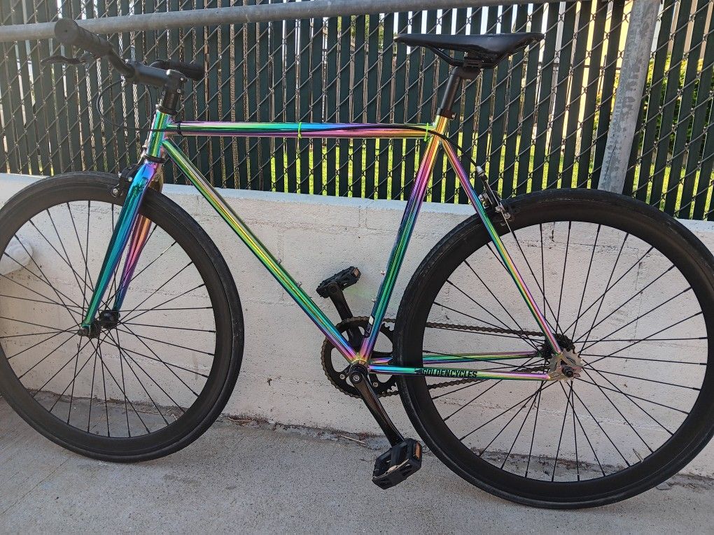 55cm.    FIXIE.     Golden 