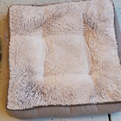 Pet Beds & Small Dog Coats
