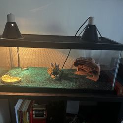 Reptile Tank 