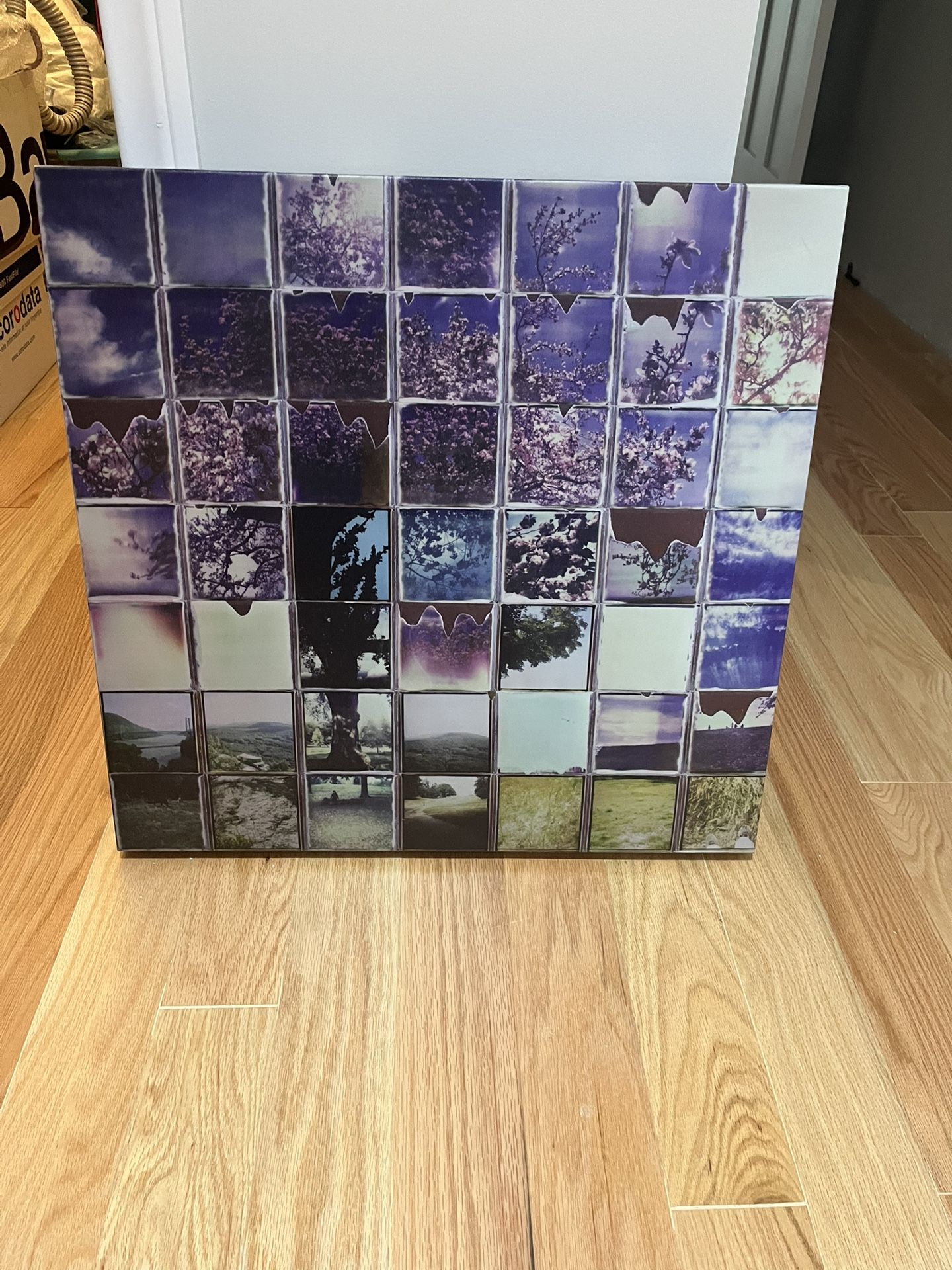 Canvas 25” Wide 24.5” High