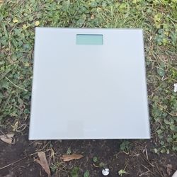 Taylor weigh scale