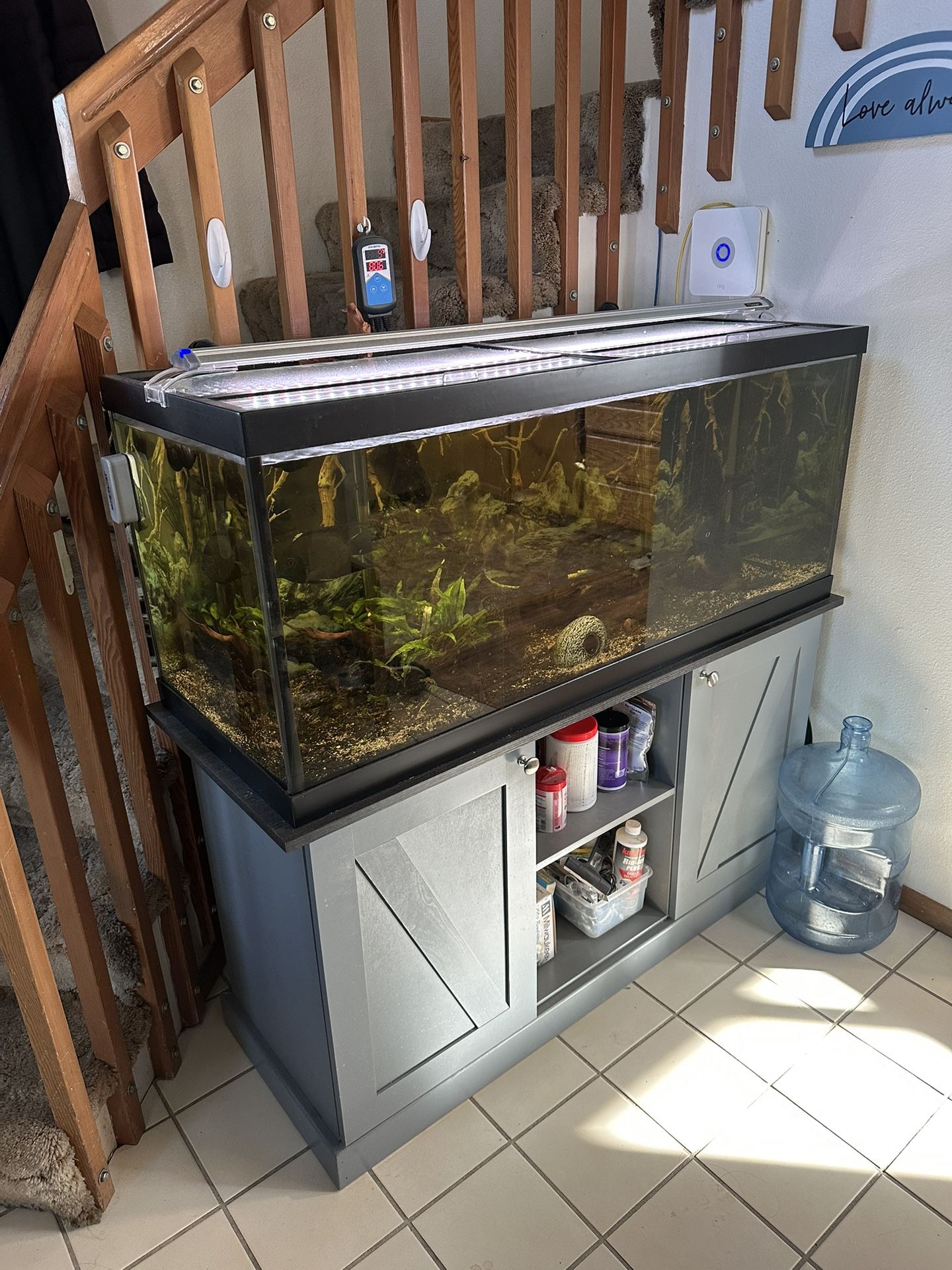 75 Gallon Fishtank With Stand