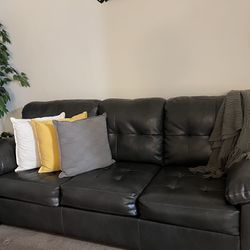 Love Seat/Couch