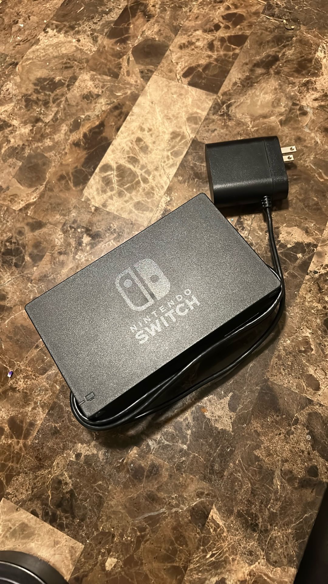 Nintendo Switch Charger