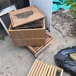Bee Hives And Frames