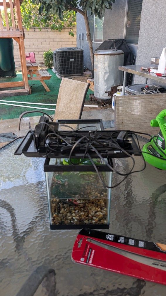 Fish Tank