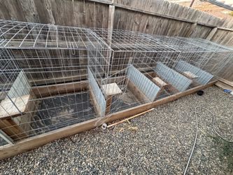 Cages